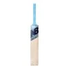 2024 New Balance DC 580 Cricket Bat -Cricket Clothing Shop 3dc580bwbm 3