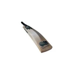 2024 Gunn And Moore Aion DXM 606 Junior Cricket Bat -Cricket Clothing Shop aion 3.4r rt medium 1 1