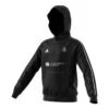 Hayes School Adidas Black Junior Fleece Hoody -Cricket Clothing Shop ar0992 ce9069