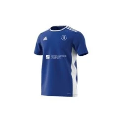 Hayes School Adidas Blue Junior Training Jersey