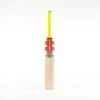 2024 Gray Nicolls Tempesta 5 Star Cricket Bat -Cricket Clothing Shop cafd24english willow bats tempesta gen 1.0 5 star bat face