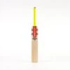 2024 Gray Nicolls Tempesta 4 Star Cricket Bat -Cricket Clothing Shop caff24english willow bats tempesta gen 1.0 4 star bat face