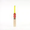 2024 Gray Nicolls Tempesta Cameo Junior Cricket Bat -Cricket Clothing Shop cafl24english willow bats tempesta gen 1.0 cameo bat 3 face