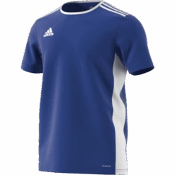Camp Active Adidas Blue Training Jersey