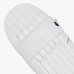 2024 DSC Intense 2000 Batting Pads -Cricket Clothing Shop dsc cricket uk intense 2000 3
