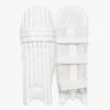 2024 DSC Xlite LE Batting Pads -Cricket Clothing Shop dsc cricket xlite le batting leg guard 1
