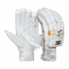 2023 DSC Krunch Series 3000 Batting Gloves -Cricket Clothing Shop dsc3 1