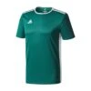 Adidas Entrada 18 Green Junior Training Jersey -Cricket Clothing Shop greencd8358j