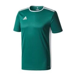 Adidas Entrada 18 Green Junior Training Jersey