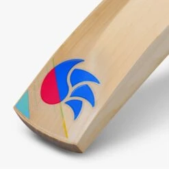 2023 DSC Intense Series 5000 Junior Cricket Bat -Cricket Clothing Shop intense english willow cricket bat 5 1 1