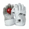 2023 Gunn And Moore Original Limited Edition Wicket Keeping Gloves -Cricket Clothing Shop orig le wkt glove pair