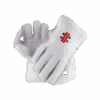 2024 Gray Nicolls Test Wicket Keeping Gloves -Cricket Clothing Shop testwkgloves