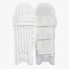 2024 DSC Krunch The Bull Signature Batting Pads -Cricket Clothing Shop the bull autograph dsc bt leg guard 1