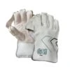 2024 Gunn And Moore 606 Wicket Keeping Gloves -Cricket Clothing Shop wkg 606 thumbnail