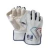 2024 Gunn And Moore Mana 909 Wicket Keeping Gloves -Cricket Clothing Shop wkg 909 thumbnail