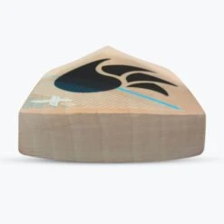 2024 DSC Xlite Series 2.0 Cricket Bat -Cricket Clothing Shop xlite 2.0 english willow cricket bat 6